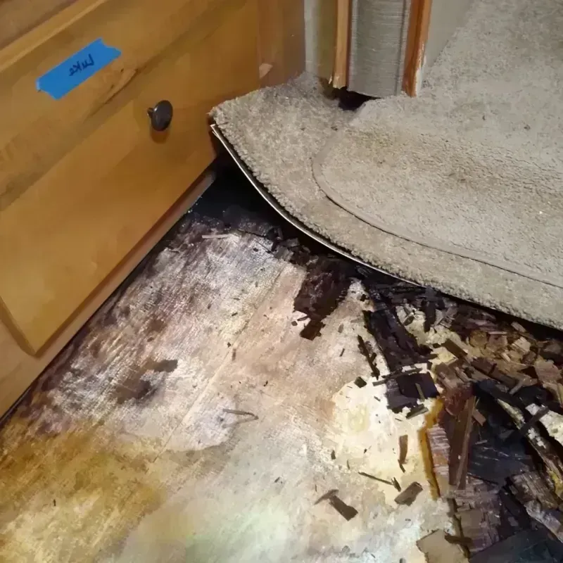 Wood Floor Water Damage in Doctor Phillips, FL